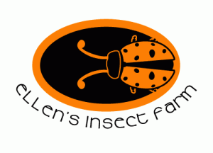 Ellen's Insect Farm